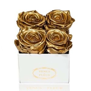 Golden Roses Venus et fleur